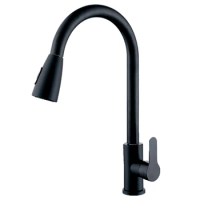 Water Kitchen Faucet 2 In 1 Black Put Mounted Sprayer And Stream SUS 304 Sprayer Faucets Rotation Mixer Rotation