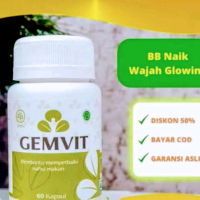 (bund ling) Gemvit Isi 30 Kapsul Ori Bpom Halal