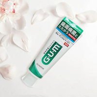 GUM 牙周護理牙膏(120g)【小三美日】 DS021345