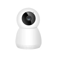 Mini WiFi Cam Wide Angle Rotatable PTZ Security Expansion CCTV Network Camera Outdoor Use Surveillance Camera Memory
