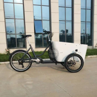 Factory Customize 250W Mid Drive 3 Wheel Electric Cargo Bike For Family 3 Wheel Electric Bike With Lithium Battery