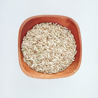 【日生元】台灣 長糙米 600g 糙米 秈稻糙米 易煮 好吃 營養