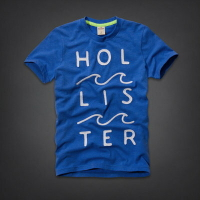 美國百分百【全新真品】Hollister Co. T恤 HCO 短袖 T-shirt  海鷗 寶藍 文字 海浪 圓領 男 M L號