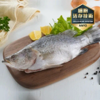 【安永鮮物】台灣金目鱸魚4尾(400g/尾)