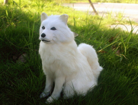 仿真哈士奇狗狐貍狗定做標本教學素材模型 寵物狗玩具攝影道具