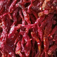 Cabe keriting kering 250gram Food Pedas Merah