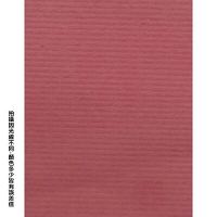 【文具通】A4 袋入粉紅色粉彩紙25入21# P1330200