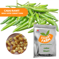BENIH BIBIT BIJI CABE RAWIT PUTIH