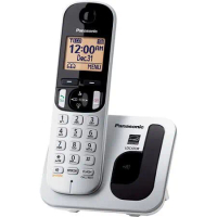 國際牌Panasonic DECT 數位無線電話 KX-TGC210TW