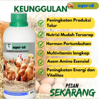 Vitamin Ayam Petelur Nafsu Makan Vitamin Peningkat Produksi Telur Ayam Vitamin Mineral Ayam Petelur