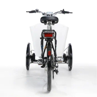 3 Wheel 6 Speed Pedal Push Bicycle Electric Dutch Cargo Bike Front Loading carry kids Bicycle bakfiets For Adult