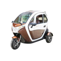 2023 Adult Electric Motorcycle Tricycle Three Wheels Passenger Vehicles Elderly Mobility Scooter