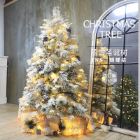 聖誕樹 加密圣誕節裝飾品網紅家用落雪大型白色圣誕樹小型場景布置不掉粉