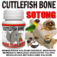 BUBUK TULANG SOTONG MURNI ASLI KALSIUM ALAMI HEWAN REPTILE TOKEK GECKO BD KURAKURA ULAR KADAL IGUANA