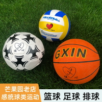 免運+開發票 籃球足球排球兒童球感統體能訓練球類組合器材體育用品運動玩具