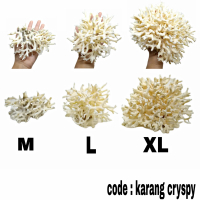 CRYSPY Batu karang laut asli natural coral anemon ornamen aquarium
