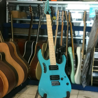 Gitar Elektrik Ibanez Custom RG Series