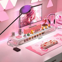 家用臺式電腦顯示器增高架帶USB 擴展塢手機充電筆記本螢幕支撐架