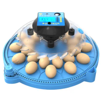 Egg Incubator Incubator Small Household Intelligent Automatic Rutin Chicken Parrot Bird Eggs Mini Little Flying Saucer Incubator