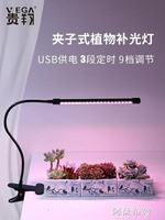 樂天精選~植物燈 貴翔 多肉補光燈 USB夾子式 上色全光譜LED花卉盆景植物燈生長燈-青木鋪子