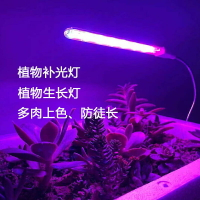 植物生長燈 多肉補光燈 上色植物 補光燈 植物生長燈 幼芽萌發全光譜 長條紫光燈家用23