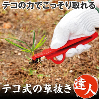 出日本除草夾拔草夾手持起根器園藝工具菜園除雜草除草器拔草叉【滿299元出貨】