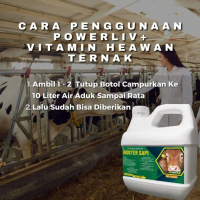 Vitamin penggemuk sapi jantan betina paling cepat dan aman Booster penggemuk sapi