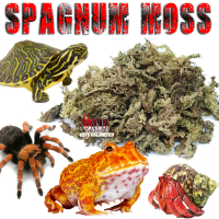 SPHAGNUM MOSS SUBSTRAT KANDANG REPTIL MEDIA TETAS TELUR GECKO TORTOISE