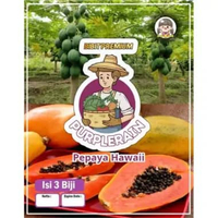 Bibit Premium Pepaya Hawai |Benih Pepaya Hawai| Pepaya Solo