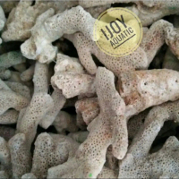 KARANG JAHE media filter akuarium kolam