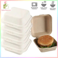 Bagasse Natural Burger Box 6in Bento Cake Box Lunchbox Kotak Tart Eco Friendly