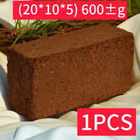 Compressed cocopeat block brick/cob coconut coir planting coconut n coconut powder brick A 600g± Gar