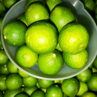 jeruk nipis 2kg jeruk nipis murah jeruk nipis soto jeruk bumbu Buah Makanan