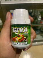 GIVA ZPT Memacu Pertumbuhan Tunas Caban Akar Dan Merangsang Pembentukan Bunga Produktif
