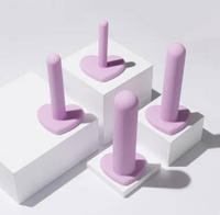 Wellness Silicone tube shaped Vaginal Dilator Kit set of 4