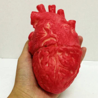 Bloody Zombie Food Human Heart Chop Shop Body Part Organ Halloween Horror Prop Party Accessories April Fool's Day Decor