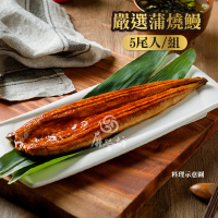 預購 屏榮坊 嚴選蒲燒鰻（每尾300g±10%/醬汁比例33%/共5尾入/蒲燒鰻/冷凍烤鰻魚/真空蒲燒鰻）