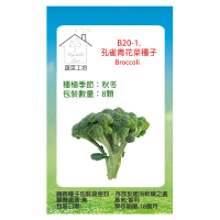 【蔬菜工坊】B20-1.孔雀青花菜種子