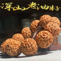【Corpulent King Kong】Indonesia Rudraksha Bead Bracelet Bodhi Seed Prayer Beads for Men Collection Walnuts Original Seed