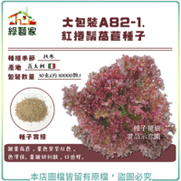 【綠藝家】大包裝A82-1.紅捲鬚萵苣種子30克(約30000顆)