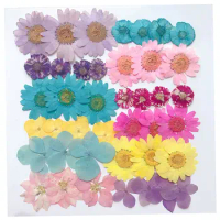 12pcs/Bag Pressed Daisy Dried Flowers Nail Art Decorations Natural Daisy Preserved Dry Flower DIY Stickers Manicure Accessories