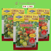 Q&J2 Benih Tomat Hibrida F1 COMODOR Chia Tai Seed Cap Kapal Terbang OBRALLO257