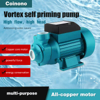 Pompa Hisap, Pompa Hisap Otomatis Vortex 12V, Pompa Hisap Otomatis DC, Pompa Hisap Kepala Tinggi, Po