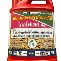 M ไกลโฟเซต 48 ไกลโฟแกลอนแดงฉลากขาว 4แกลอน 16ลิตร กำจัดวัชพืชใบกว้างและแคบ ไม่ทิ้งสารตกค้างในดิน