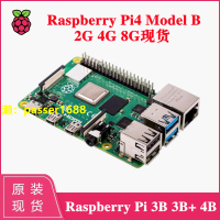 樹莓派4代 3代B型 Raspberry Pi Model 3B+ 板載 3B/3B+/4B 開源