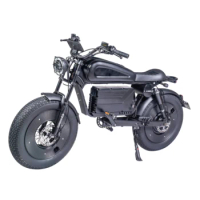 Wholesale Powerful 48v 60Ah 20*5.0 Fat tire electric hybrid bike Motorcycle Scooter Long Range Off Road Moto electric dirt bike