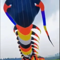 18m fly toy koi fish soft kite Centipede Kite software giant kite professional wind kites Flying toy Fishing street toys ripstop