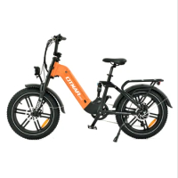 20 Inch 500W/750w rear hub motor electric fat tire bike 20*4.0 tire electric road bike