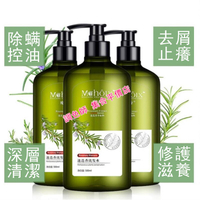 單天發貨 魔香 牛蒡根迷迭香洗髪精 清爽控油 除螨止癢 洗髮水 沐浴露 護髮素 去蟎蟲 洗頭膏 洗髮精500ml