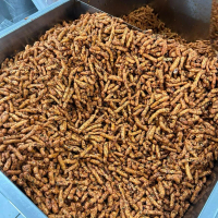 FLASH SALE TIKTOK BASRENG SAJODO 1KG Camilan Chili Food Snack  Pedas Makanan Kering Snacks